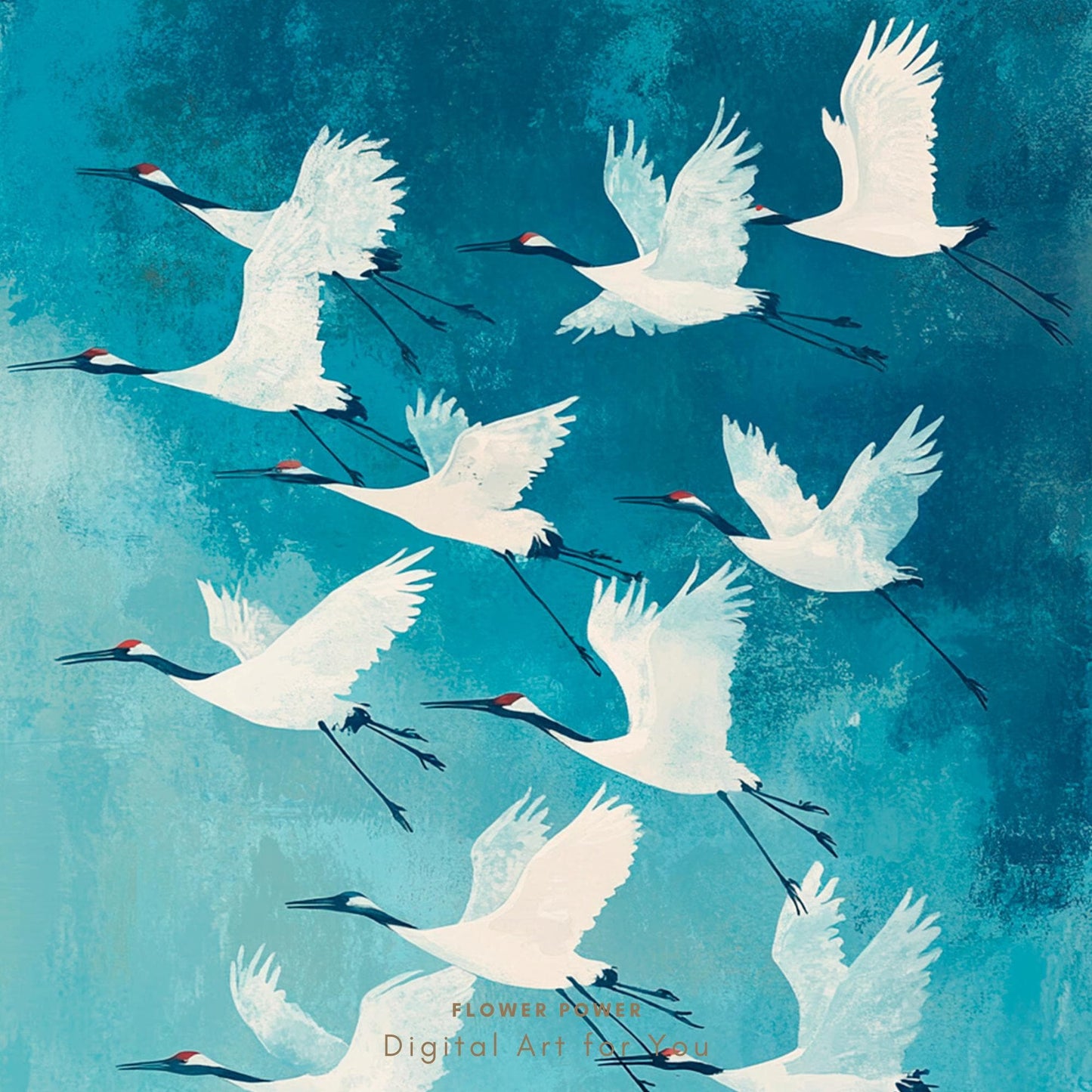 Gruyas elegantes volando