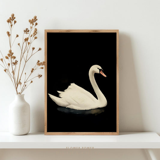 Cisne